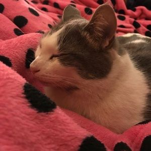 Meet your Posher, Marlene